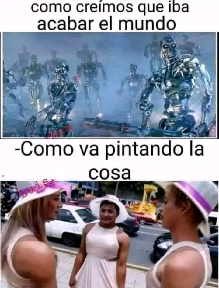 1678045135651.jpg
