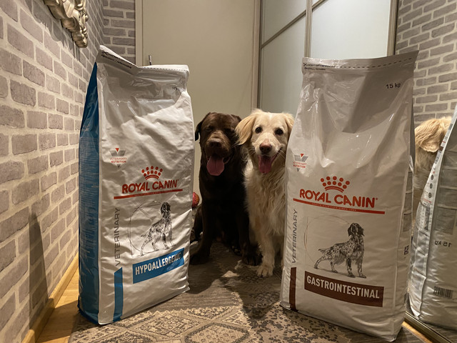 8-B0-B16-C5-9791-4-BBA-B3-BA-BD2-E7-B204