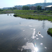 DSC-0048