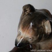 IMG-3365