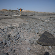 DSC01010