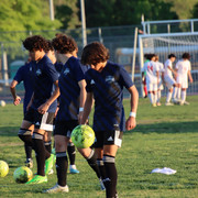 IMG-0336