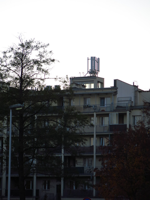 IMG-4046