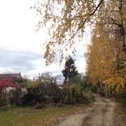 IMG-4395