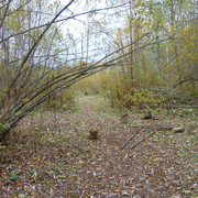 DSC04050