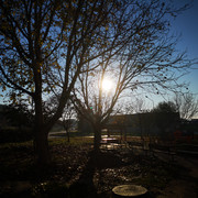 IMG-20211122-082619