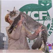 DSC-5484