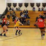 IMG-0250