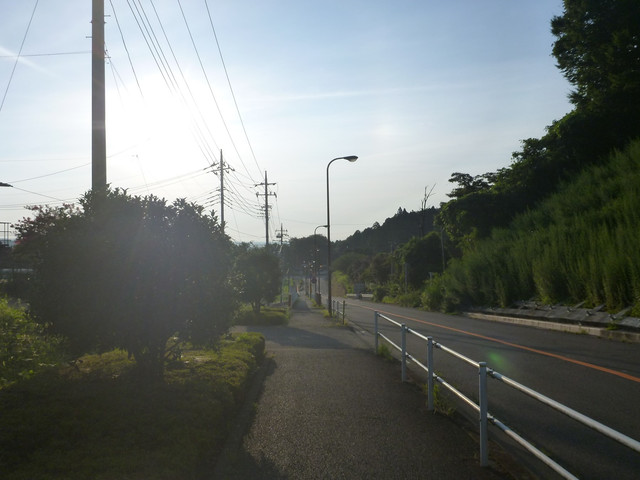 P1340747.jpg