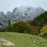 IMG-3203