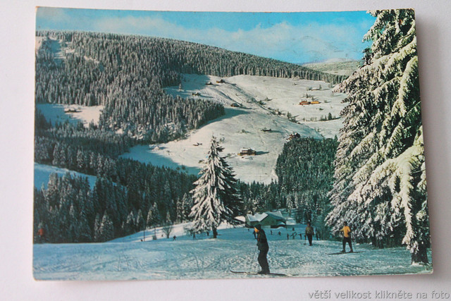 IMG-6881