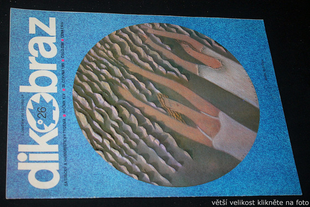 IMG-7686.jpg
