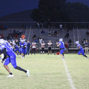 IMG-0528
