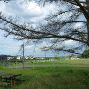 P1320965