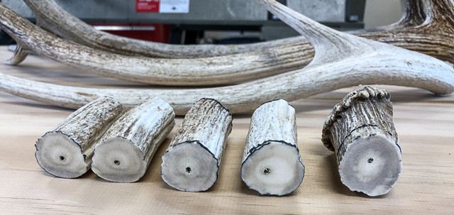 Axis-antler-1