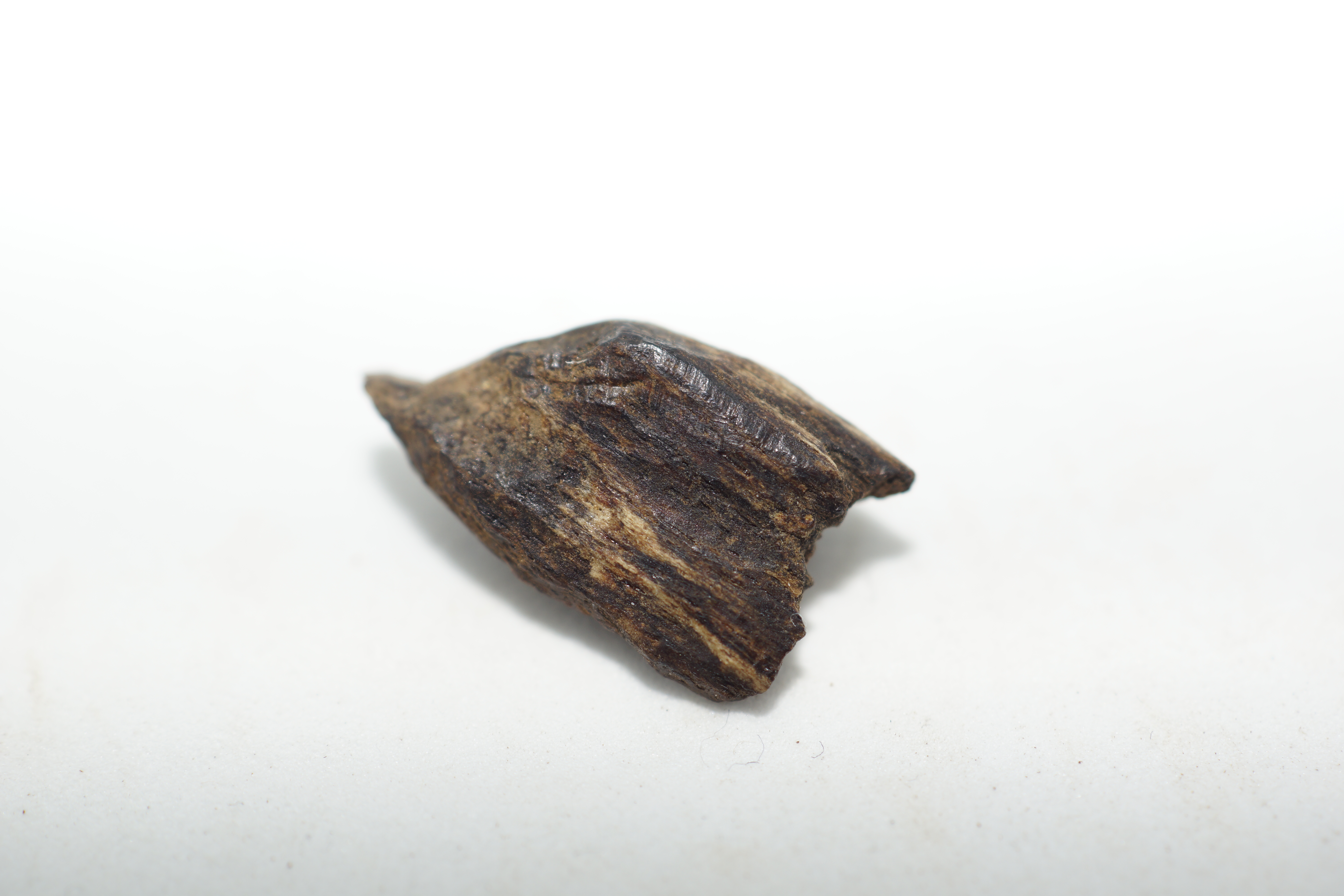 [Ouddict.com] Oud Photos
