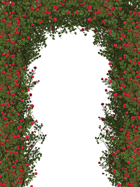klipartz-com-2.png