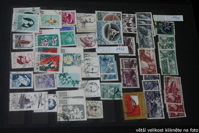 IMG-3408.jpg