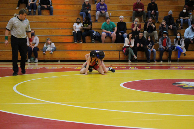 IMG-0202