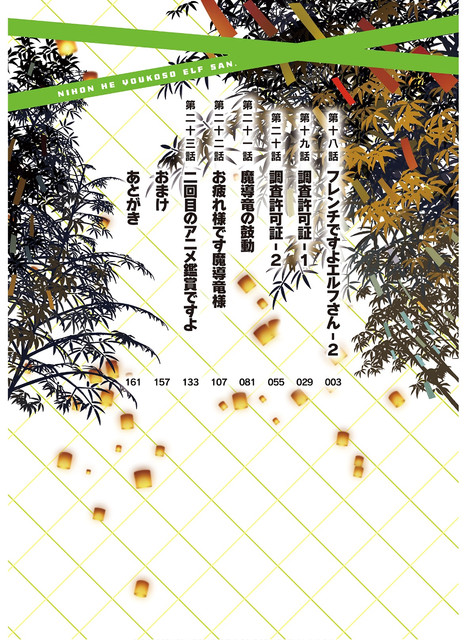 DLRAW-NET-0004