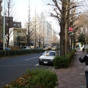 2008-01-19-08