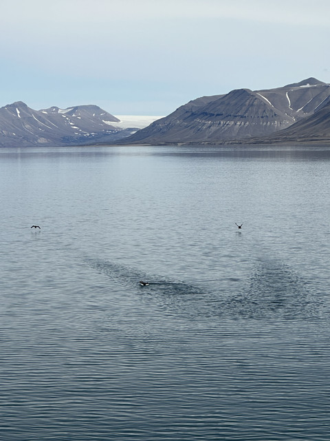 IMG-4826