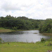IMG-3666