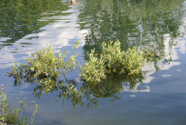 DSC5302-result.jpg