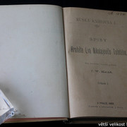 IMG-6049