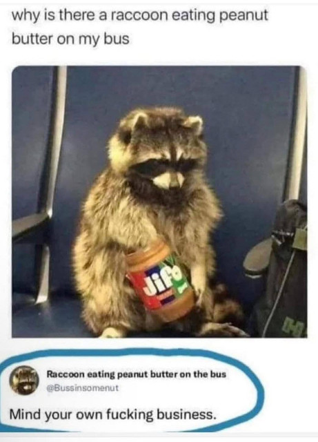 1000065955
