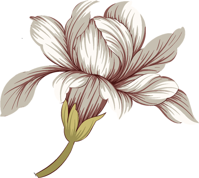 Layer 11 (3).png
