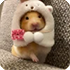 https://i.ibb.co/j93K9MTC/225.webp