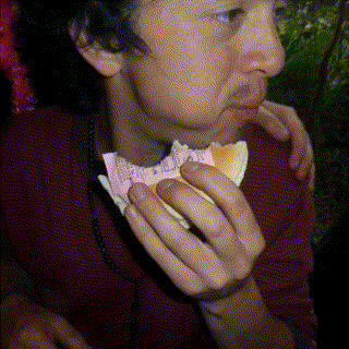 wnpan.gif