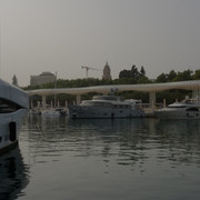 DSCF8892