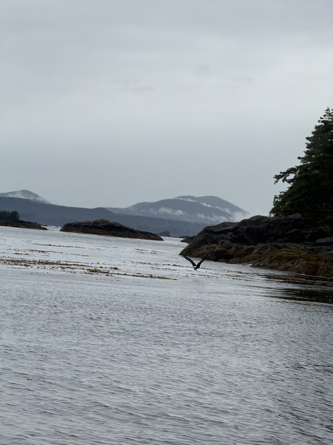 IMG 5657.jpg