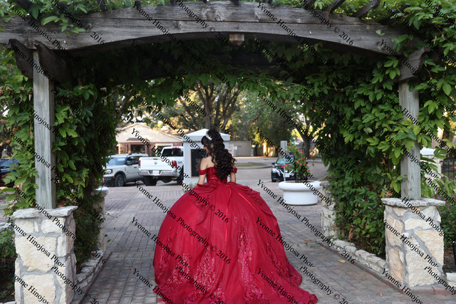 IMG 2321