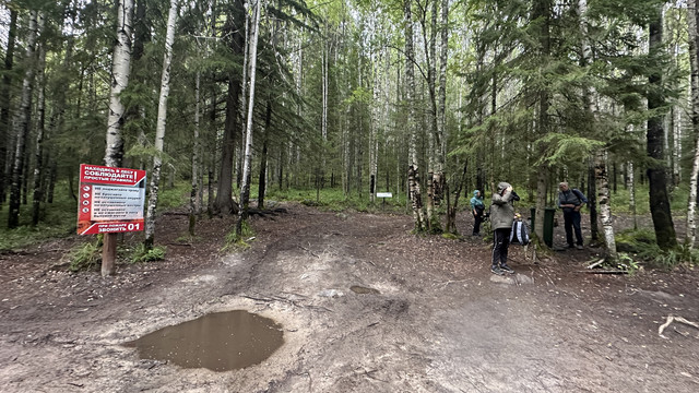 IMG 4778.jpg