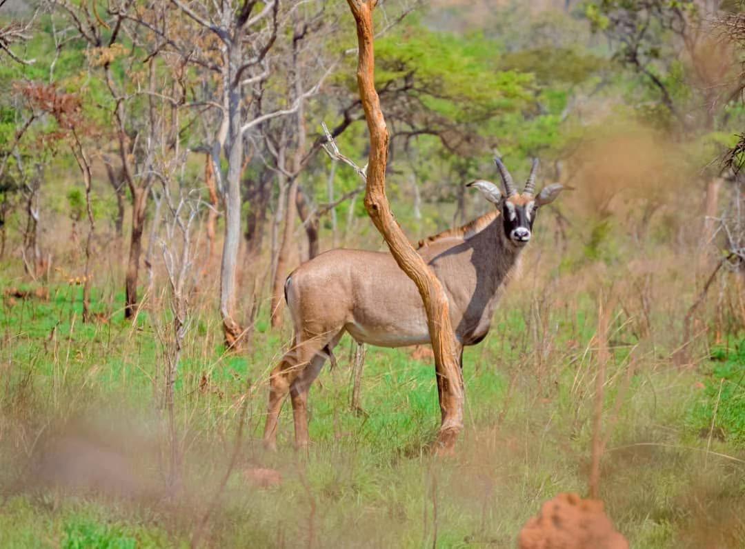 Udzungwa Mountains National Park