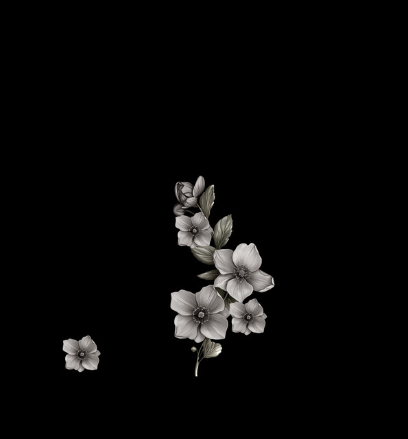 Untitled 1 copy.jpg