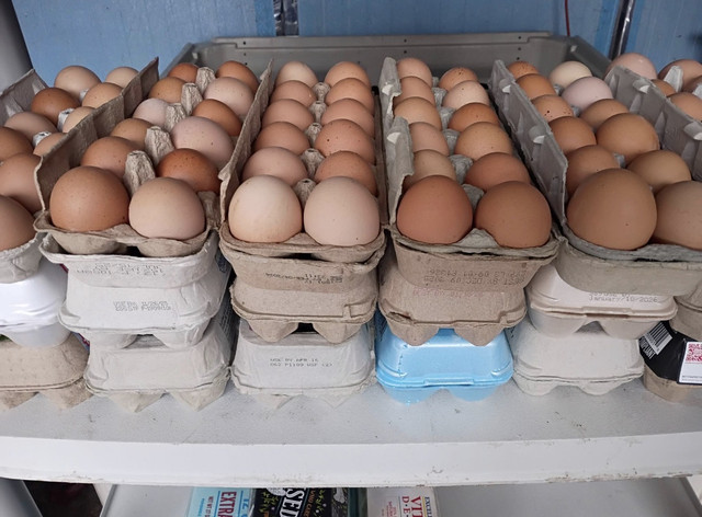 Stocked and ready at DJ's Fresh Market, Appleton Wisconsin farm stand