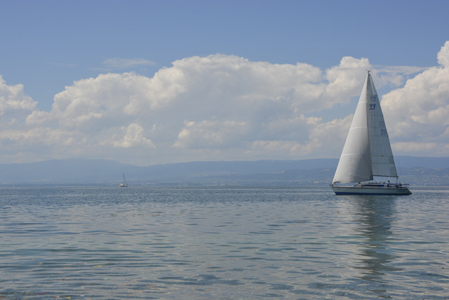 DSC1546.jpg