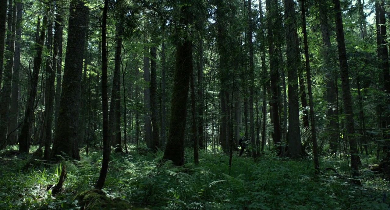 The Forest Screenshot