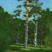 Сосна 1878