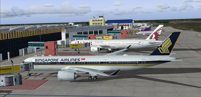 243.jpg