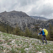 IMG 0661 (2)
