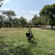 IMG 7966