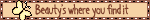 IMG 3091.gif