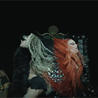 21.gif
