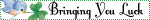 IMG 5274.gif