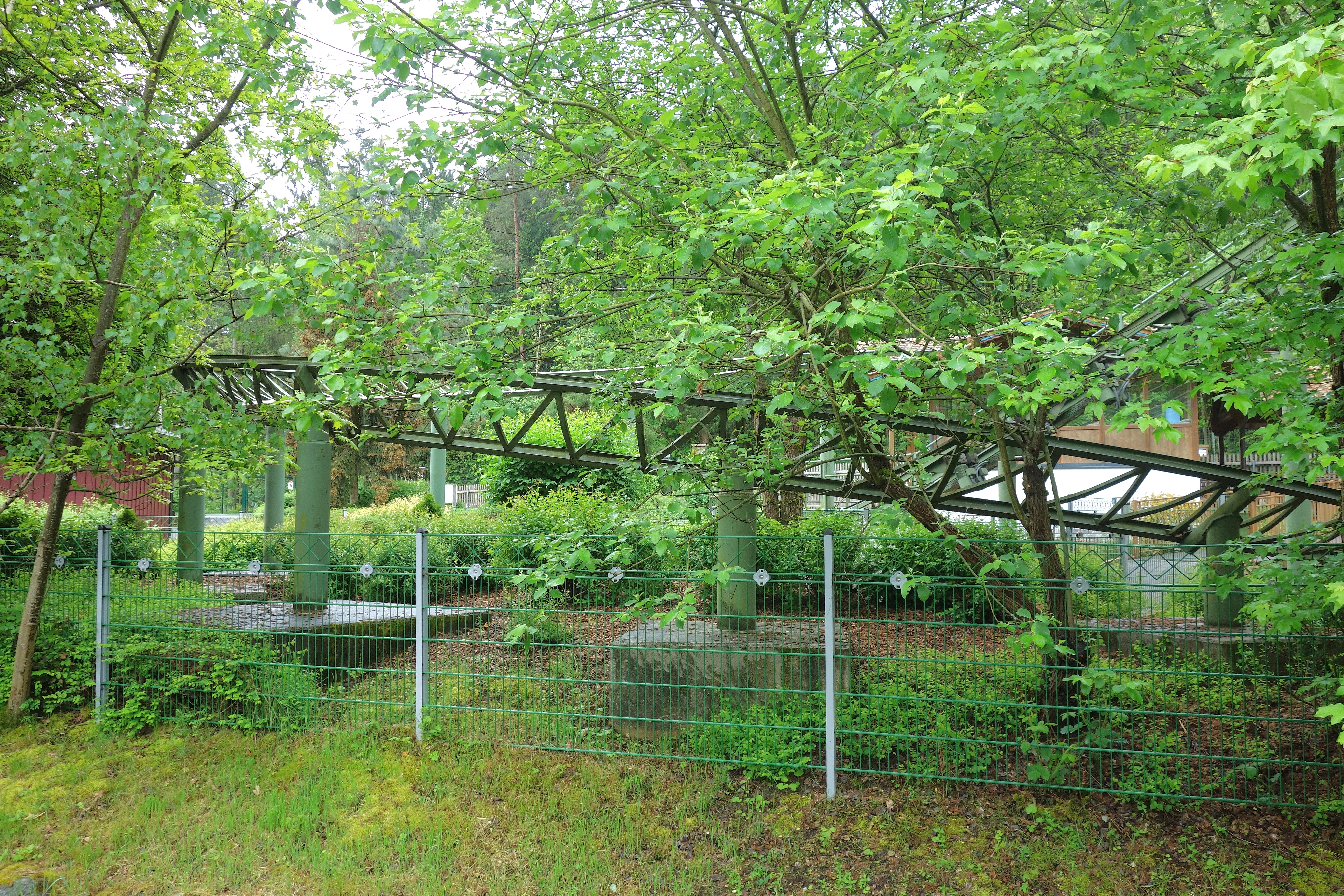 DSC07798